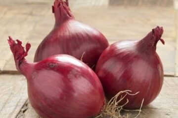Bawang merah